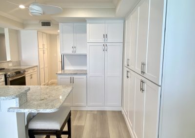 Elegant Kitchen Remodel
